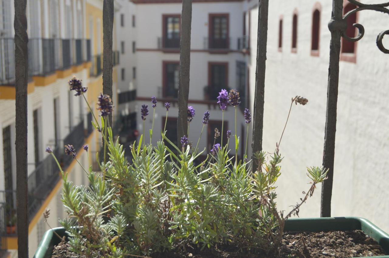 Isg Apartments Precioso Atico Con Terraza Privada En El Centro Σεβίλλη Εξωτερικό φωτογραφία